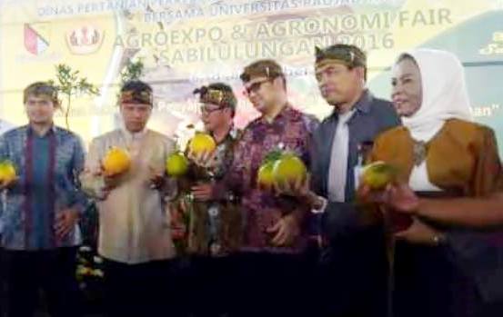 Bupati Bandung Dadang Naser saat launching varietas Jeruk Dekopon (DN) Sabilulungan di Balerame Soreang, Kamis (6/10). ist by SS