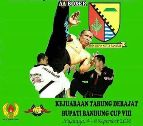 bb-kejuaraan-boxer