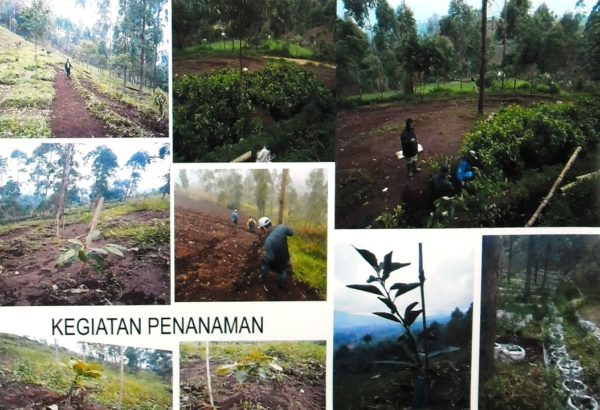 Pelaksanaan Program Konservasi Leuweung Sabilulungan di lokasi Pasir Munding, Desa Cibeureum, Kec Kertasari. Kab Bandung. repro by iwa/bbcom