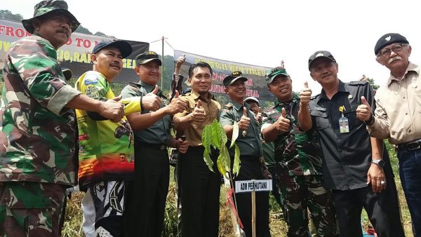 bb-tanam-pohon-emte