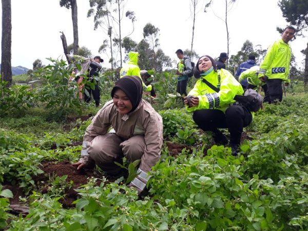 Personil Polres Bandung menanam pohon di Blok Waas Petak 9 BPKH Ciwidey FPH Dewata KPH Bandung Selatan Desa Sugihmukti Kec Pasirjamu Kab Bandung, Sabtu (25/11/17). by bb8