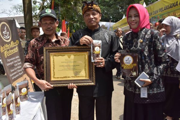 “Si Jalu” Kopi Arabika Berprestasi dari Cilengkrang