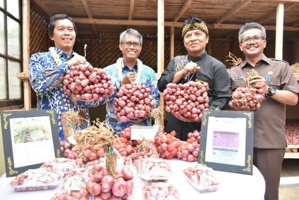 Cimenyan Pilot Project Pengembangan Bawang Merah