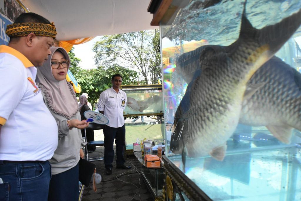 Tingkat Konsumsi Ikan Kab Bandung Masih Rendah