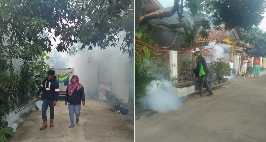 Januari 2019, Kasus DBD Cenderung Turun