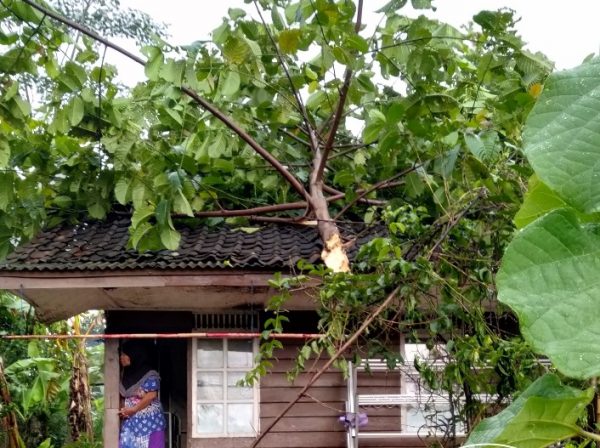 Rumah Warga Cicalengka Tertimpa Pohon Tumbang Akibat Puting Beliung