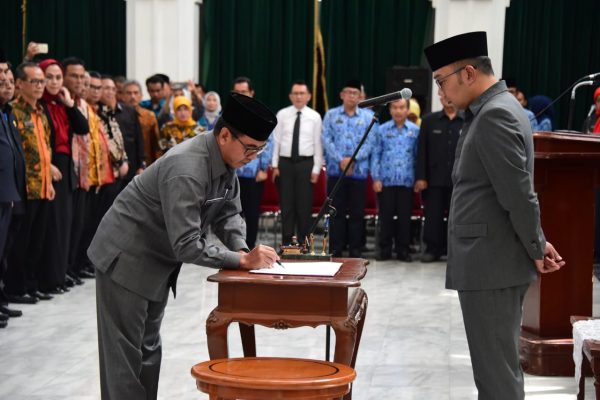 rk forsesdasi