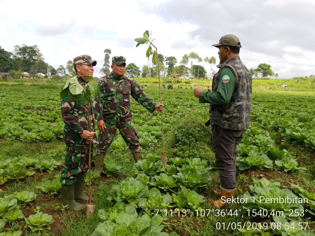 Mayday, Sektor Pembibitan Gandeng PTPN VIII Tanam 1.000 Pohon