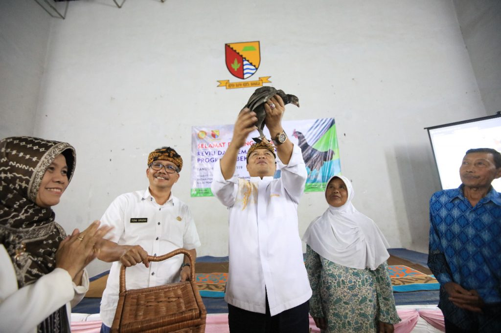 4.279 RTM Terima Bantuan 189 Ribu Benih Ayam Sentul