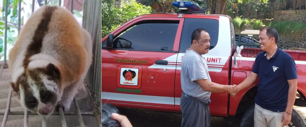 Gerakan Hejo Serahkan ‘Temuan’ Kukang Jawa ke BKSDA Jabar