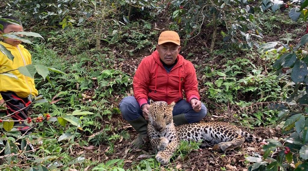 Petani Pangalengan Temukan Bangkai Macan Tutul Masih Segar