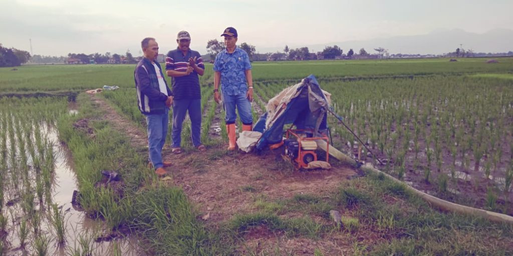 25 Ha Sawah Kab Bandung Kekeringan