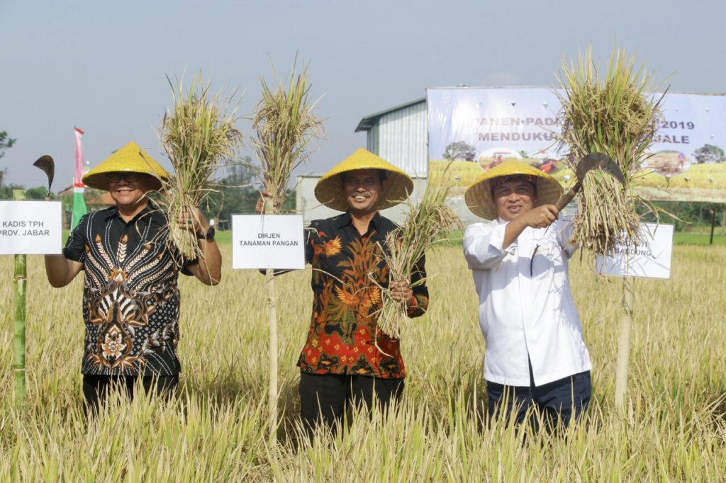 Produksi Padi Organik Kab Bandung Capai 131.759 Ton Per Musim Panen