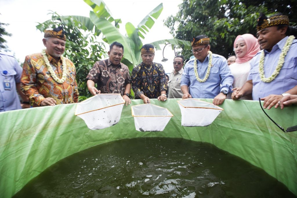 2019, Produksi Ikan Kabupaten Bandung Meningkat