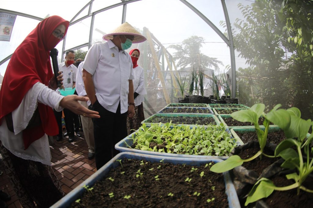 Pemkot Bandung Bangun Ketahanan Pangan Lewat Urban Farming Terintegrasi