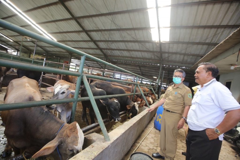 Jelang Idul Adha, Pemkab Bandung Periksa Hewan Kurban di 500 Titik Penjualan
