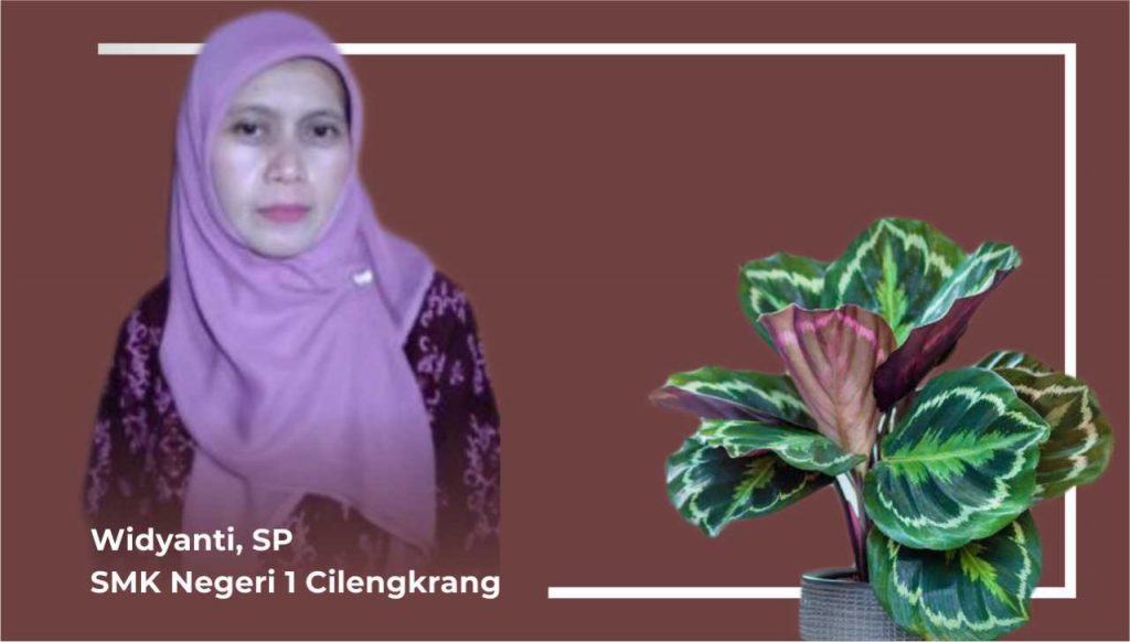 Calathea, Tren Baru di Masa Pandemi