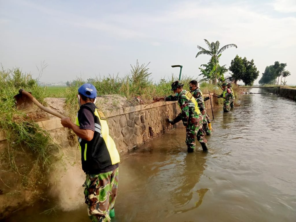 Sungai Cikaro Mengairi Ratusan Hektare Lahan Pertanian Padi
