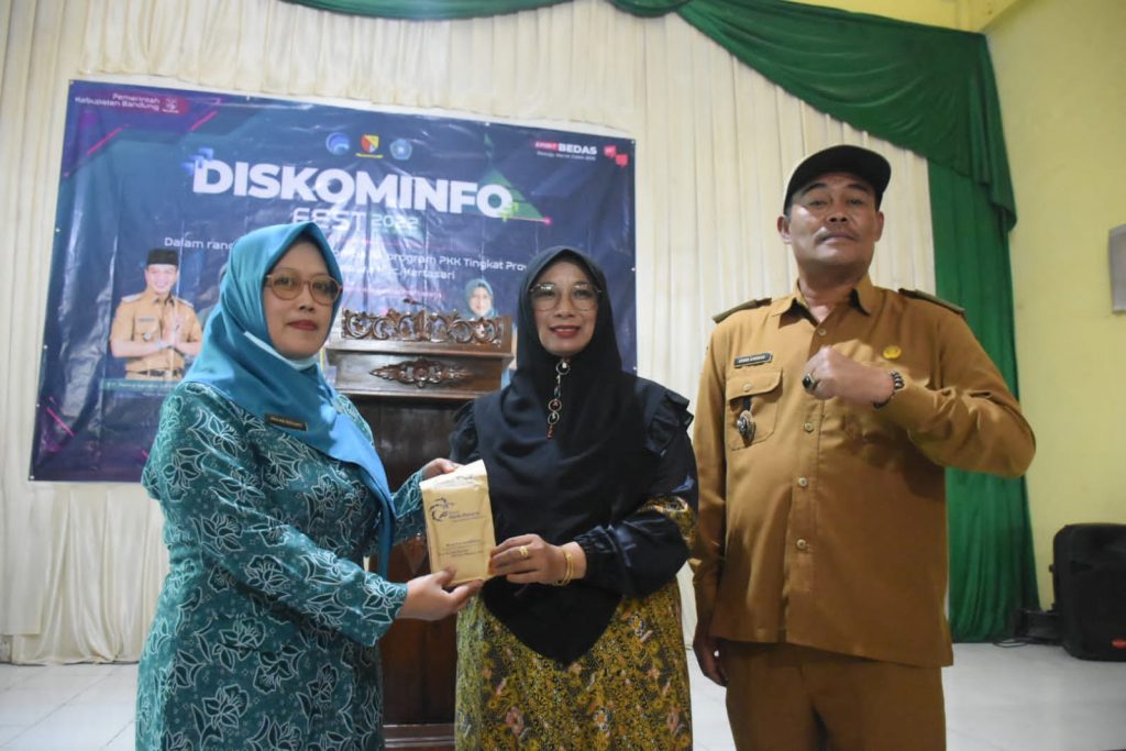 Diskominfo Fest 2022 Dukung Lomba 10 Pogram PKK