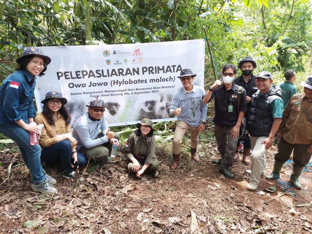 GeoDipa Dukung Pelepasliaran Owa Jawa