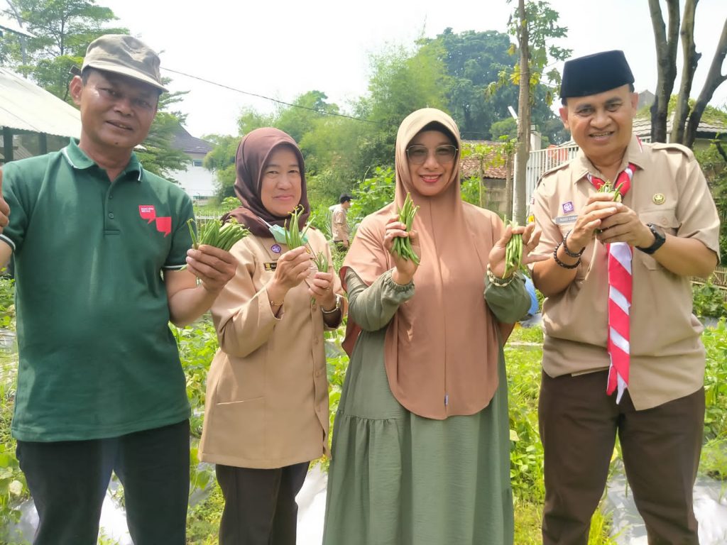 Emma Dety : Pekarangan Rumah Bisa Dimanfaatkan Tanam Sayuran