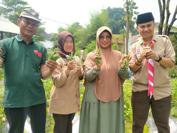 Emma Dety : Pekarangan Rumah Bisa Dimanfaatkan Tanam Sayuran