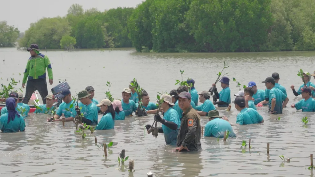 Atasi Dampak Abrasi, 100 Karyawan Bio Farma Tanam 3.500 Mangrove