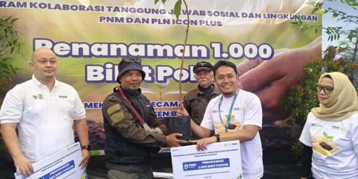 Sinergi PLN Icon Plus dan PNM, Wujudkan Gerakan TJSL untuk Ketahanan Pangan dan Konservasi Lingkungan