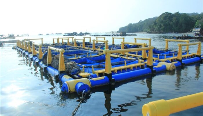 IKA Unpad Sesalkan Pernyataan Susi Pudjiastuti Soal KJA Pangandaran Timur