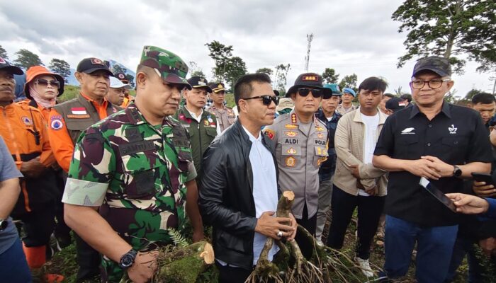 Kebun Teh Pangalengan Dirusak, Bupati Kang DS Minta Pelaku Utama Ditangkap