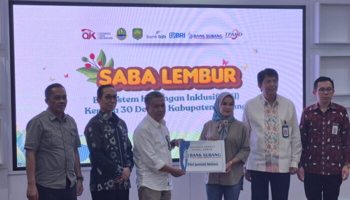 Kepala OJK Jabar: Program Desa EKI Subang Tunjukkan Progres Signifikan