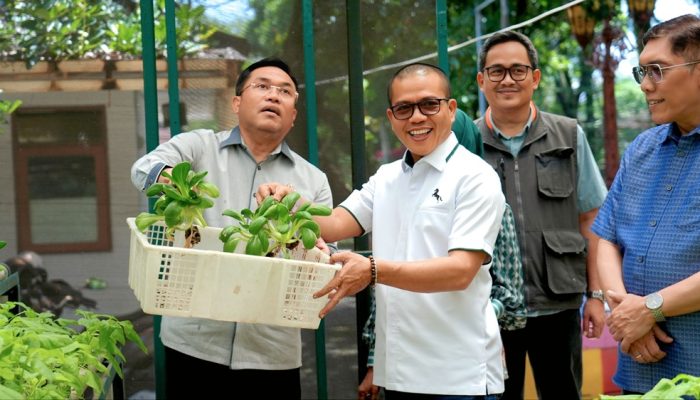 Panen Perdana, Kang DS Buktikan Program Gerakan Tanami Halaman Tunjukkan Hasil