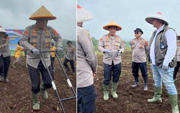Dukung Ketahanan Pangan, Kapolresta Bandung Pimpin Tanam Jagung 4 Hektar di Cikancung