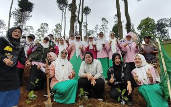 Harlah ke-76, Fatayat Kabupaten Bandung Ajak Kader Menjaga Bumi Lewat Penanaman 1.000 Pohon