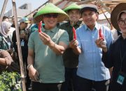 KDMP Lengkong Berpotensi Raih Omzet Miliaran Rupiah dari Cabai, KDS Siapkan Dukungan Modal