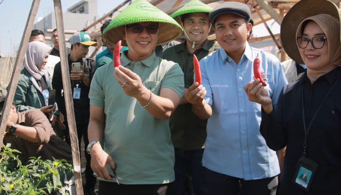 KDMP Lengkong Berpotensi Raih Omzet Miliaran Rupiah dari Cabai, KDS Siapkan Dukungan Modal