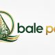 Bale Pare: Ketika Balebandung Menapaki Jalur Ketahanan Pangan