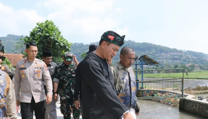 KDS: Sawah Jadi LP2B, Petani Harus Dapat Reward dan Jaminan Infrastruktur